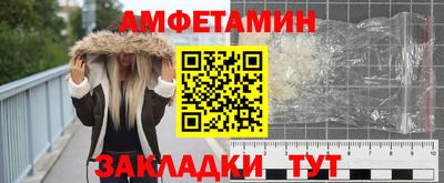 амф Гатчина